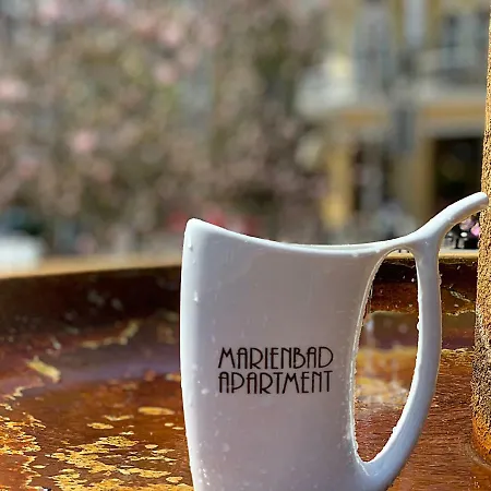 Marienbad Apartment Appartement Mariënbad