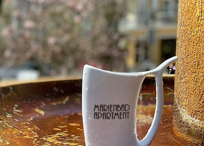 Marienbad Apartment 아파트 마리안스케 라즈네